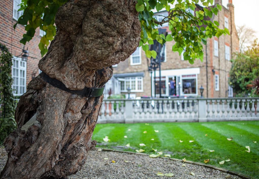 Warren Lodge Shepperton Esterno foto
